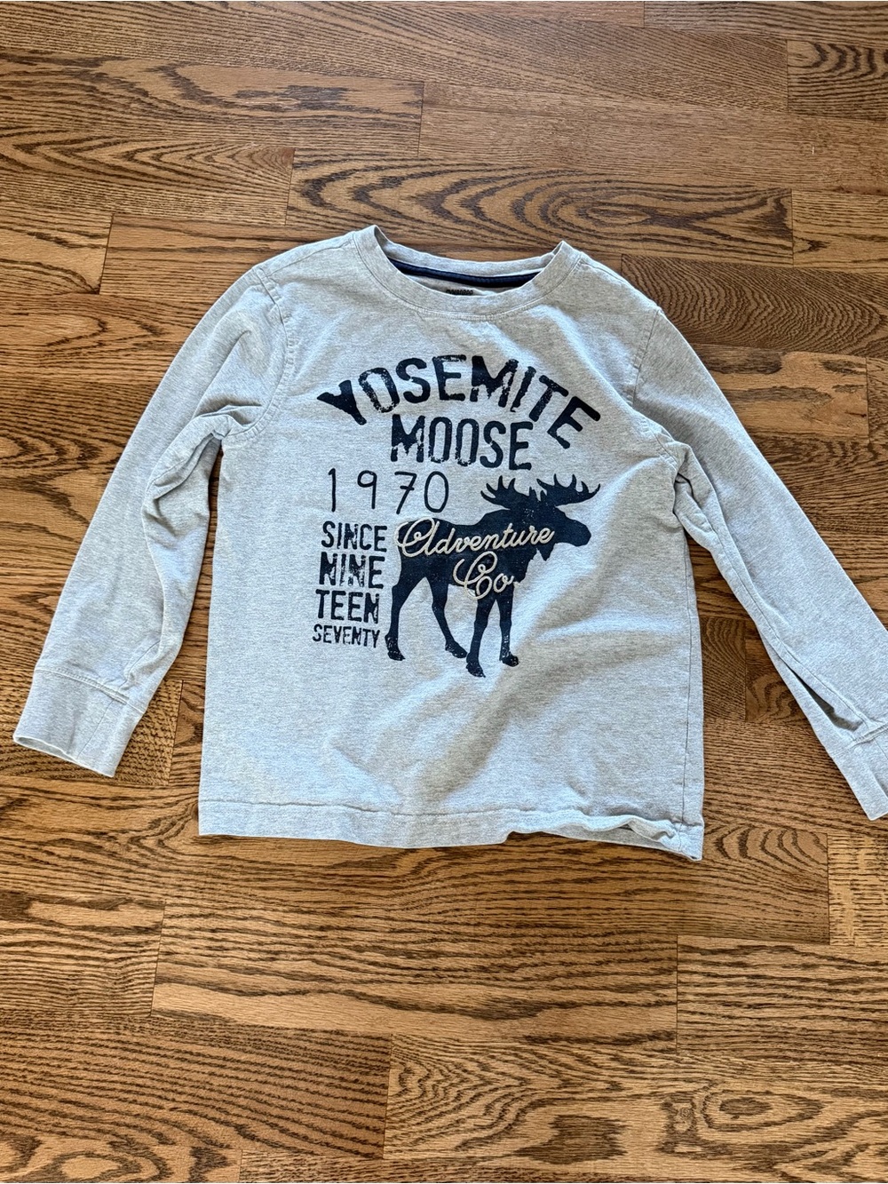 Gymboree Gray Yosemite Moose Long-Sleeve Tee